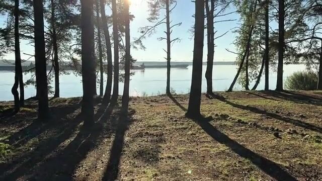 Осенний судак на Рыбинском водохранилище с чемпионом