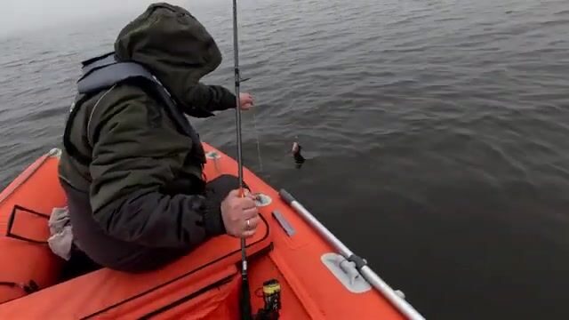 Спиннинг на Рыбинском водохранилище в середине сентября