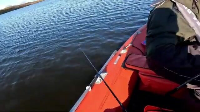 Спиннинг на Рыбинском водохранилище в середине сентября