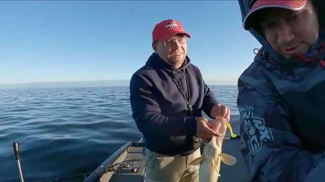 Джиг на Рыбинском водохранилище с гидом