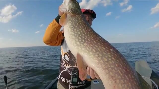 Джиг на Рыбинском водохранилище с гидом