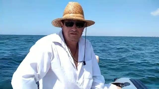 Ставрида на пилькер в районе Молочного