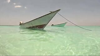 Неделя охоты за гигантскими каранксами у берегов Сокотры