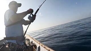 Неделя охоты за гигантскими каранксами у берегов Сокотры