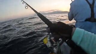 Неделя охоты за гигантскими каранксами у берегов Сокотры