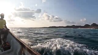 Неделя охоты за гигантскими каранксами у берегов Сокотры