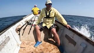 Неделя охоты за гигантскими каранксами у берегов Сокотры