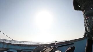 Кингфиш и сход крупной рыбы у острова Сокотра