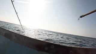 Кингфиш и сход крупной рыбы у острова Сокотра
