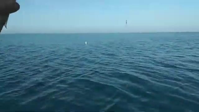 Туман и слабый клёв под Новофёдоровкой