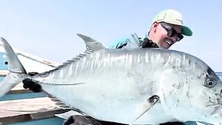 Последний день с гигантскими каранксами на Сокотре