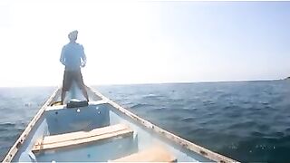 Последний день с гигантскими каранксами на Сокотре