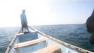 Последний день с гигантскими каранксами на Сокотре