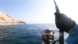 Последний день с гигантскими каранксами на Сокотре