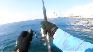 Последний день с гигантскими каранксами на Сокотре