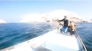 Последний день с гигантскими каранксами на Сокотре