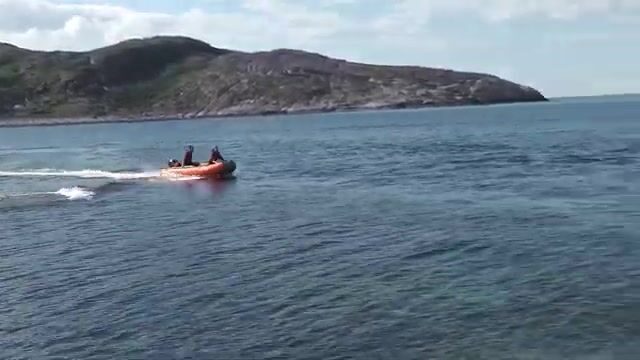 Стая дельфинов рядом с лодкой у острова Олений