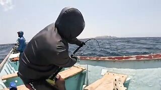 Экспедиция за гигантскими каранксами на удаленную Сокотру