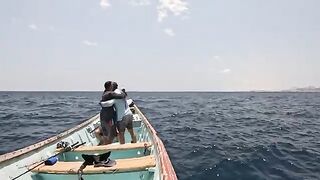 Экспедиция за гигантскими каранксами на удаленную Сокотру