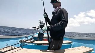 Экспедиция за гигантскими каранксами на удаленную Сокотру