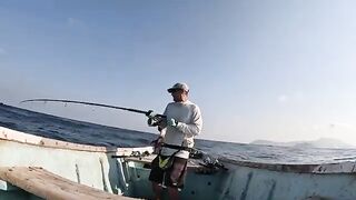 Экспедиция за гигантскими каранксами на удаленную Сокотру
