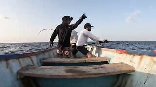 Экспедиция за гигантскими каранксами на удаленную Сокотру
