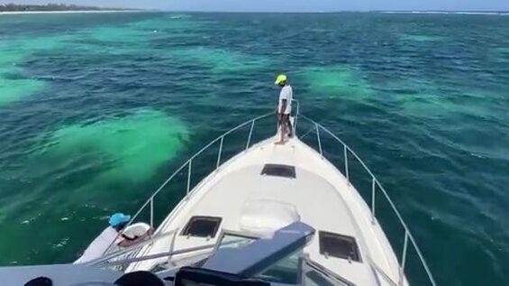 Морская рыбалка у пляжа Диани в Кении