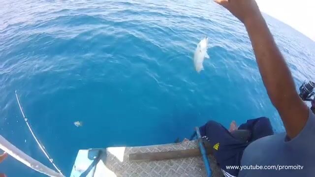 Рыбалка в открытом море у Сусса, Тунис