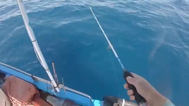 Скоростной джиг на сериолу у Сусса