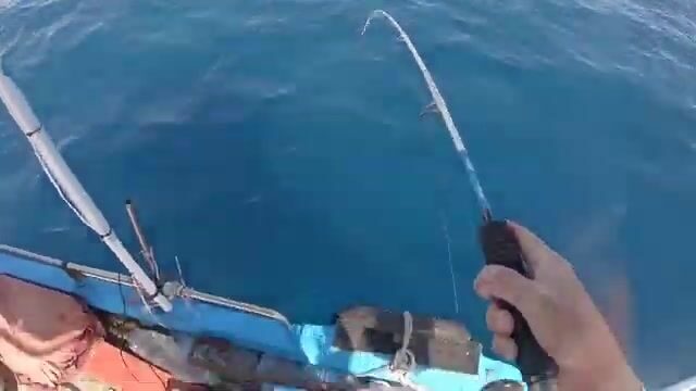 Скоростной джиг на сериолу у Сусса