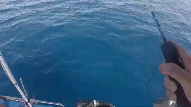 Скоростной джиг на сериолу у Сусса