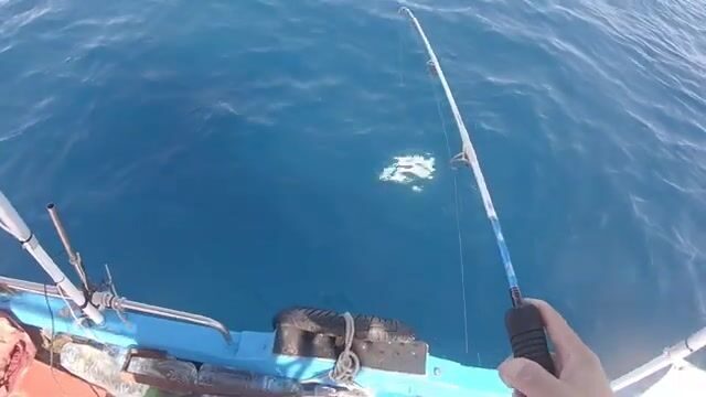 Скоростной джиг на сериолу у Сусса