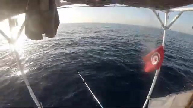 Скоростной джиг на сериолу у Сусса