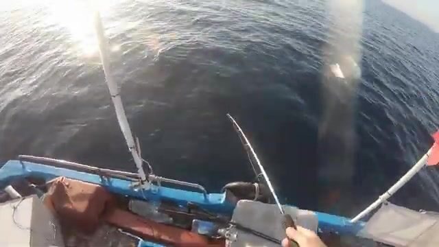 Скоростной джиг на сериолу у Сусса