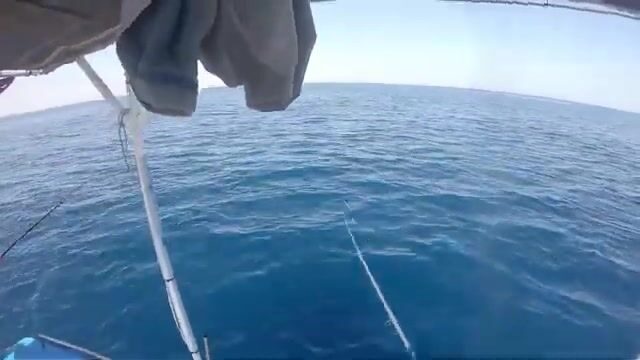 Скоростной джиг на сериолу у Сусса