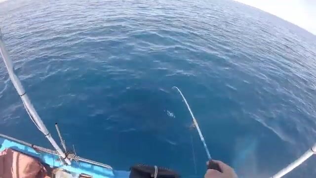 Скоростной джиг на сериолу у Сусса