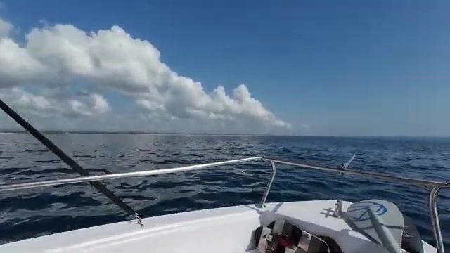 Диани, Кения: морская рыбалка в Индийском океане от Diani Splash