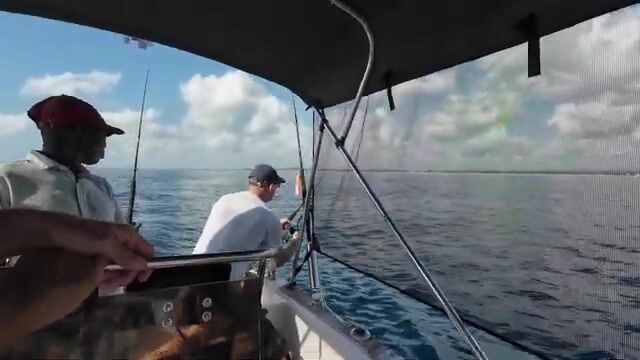Диани, Кения: морская рыбалка в Индийском океане от Diani Splash