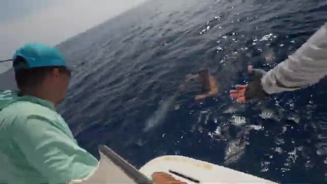 Трофейный тунец у вулканического побережья Сальвадора