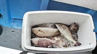 Рыбалка в заливе Гуанабара в Рио-де-Жанейро