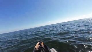 Морская форель на топвотер у Сан-Бласа во Флориде