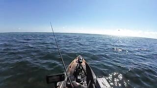 Морская форель на топвотер у Сан-Бласа во Флориде