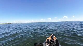 Морская форель на топвотер у Сан-Бласа во Флориде