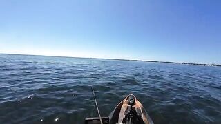 Морская форель на топвотер у Сан-Бласа во Флориде