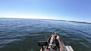 Морская форель на топвотер у Сан-Бласа во Флориде