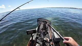 Морская форель на топвотер у Сан-Бласа во Флориде