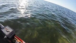 Морская форель на топвотер у Сан-Бласа во Флориде