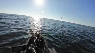 Морская форель на топвотер у Сан-Бласа во Флориде