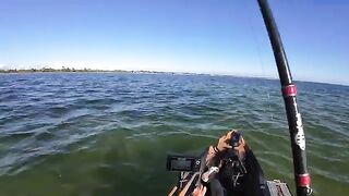 Морская форель на топвотер у Сан-Бласа во Флориде