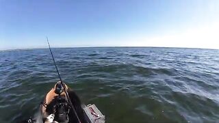 Морская форель на топвотер у Сан-Бласа во Флориде